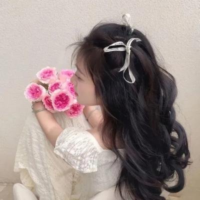 长安的荔枝