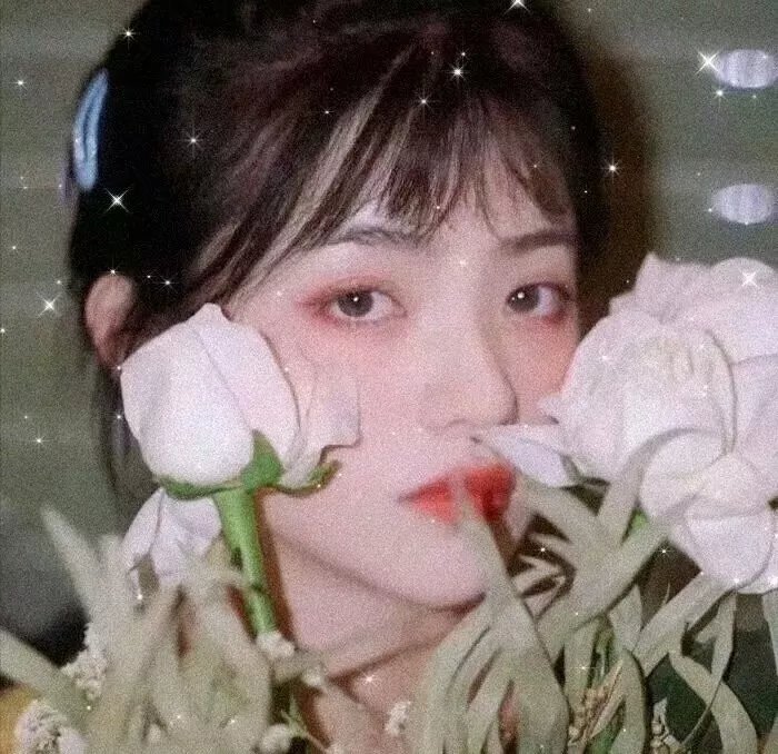 楚留香新传之影子传奇