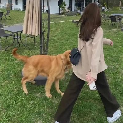 王牌对王牌第七季